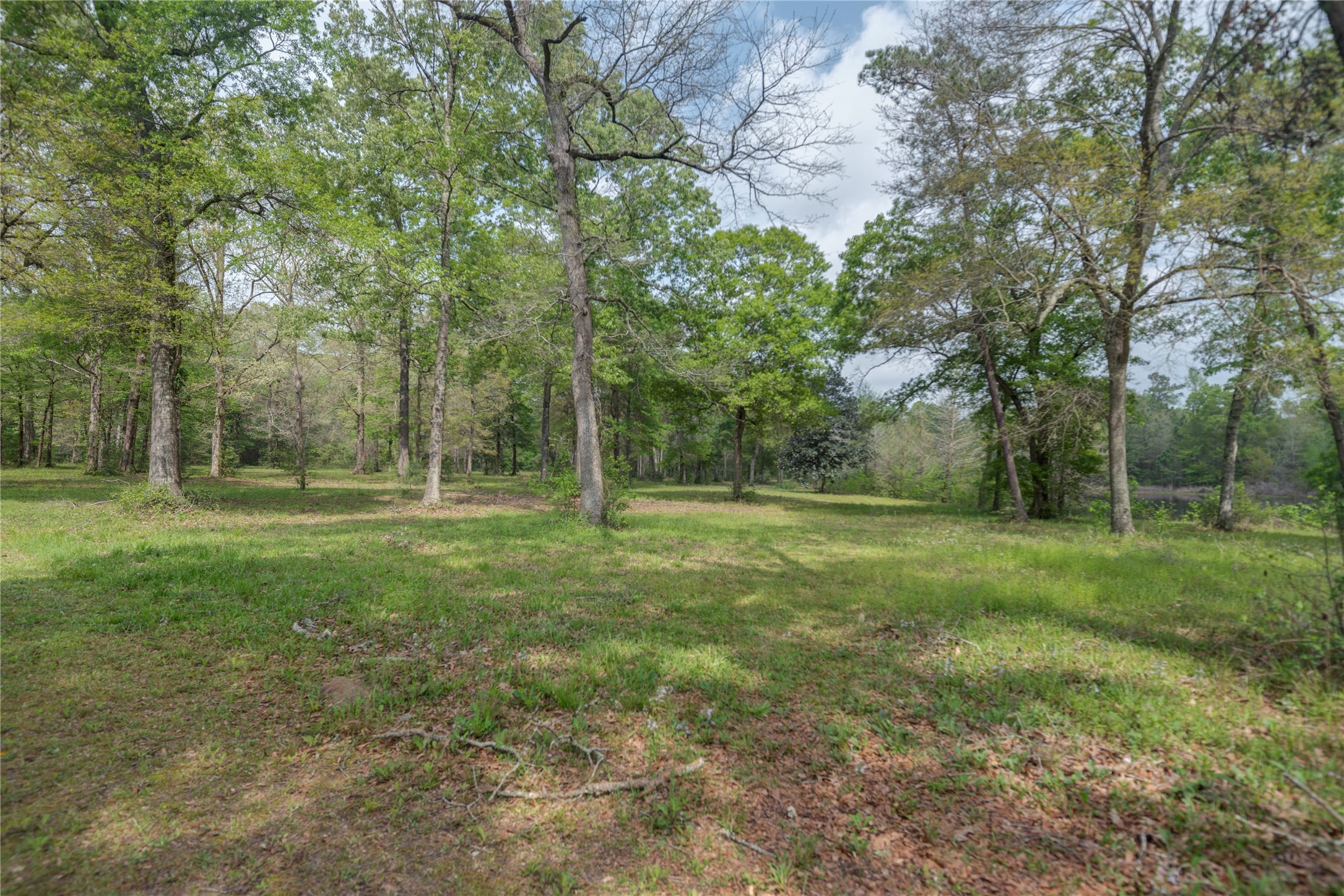 Tbd Tbd Firetower Road Conroe, TX 77306 - Photo 4 of 23 a view of outdoor space with green field and trees all around