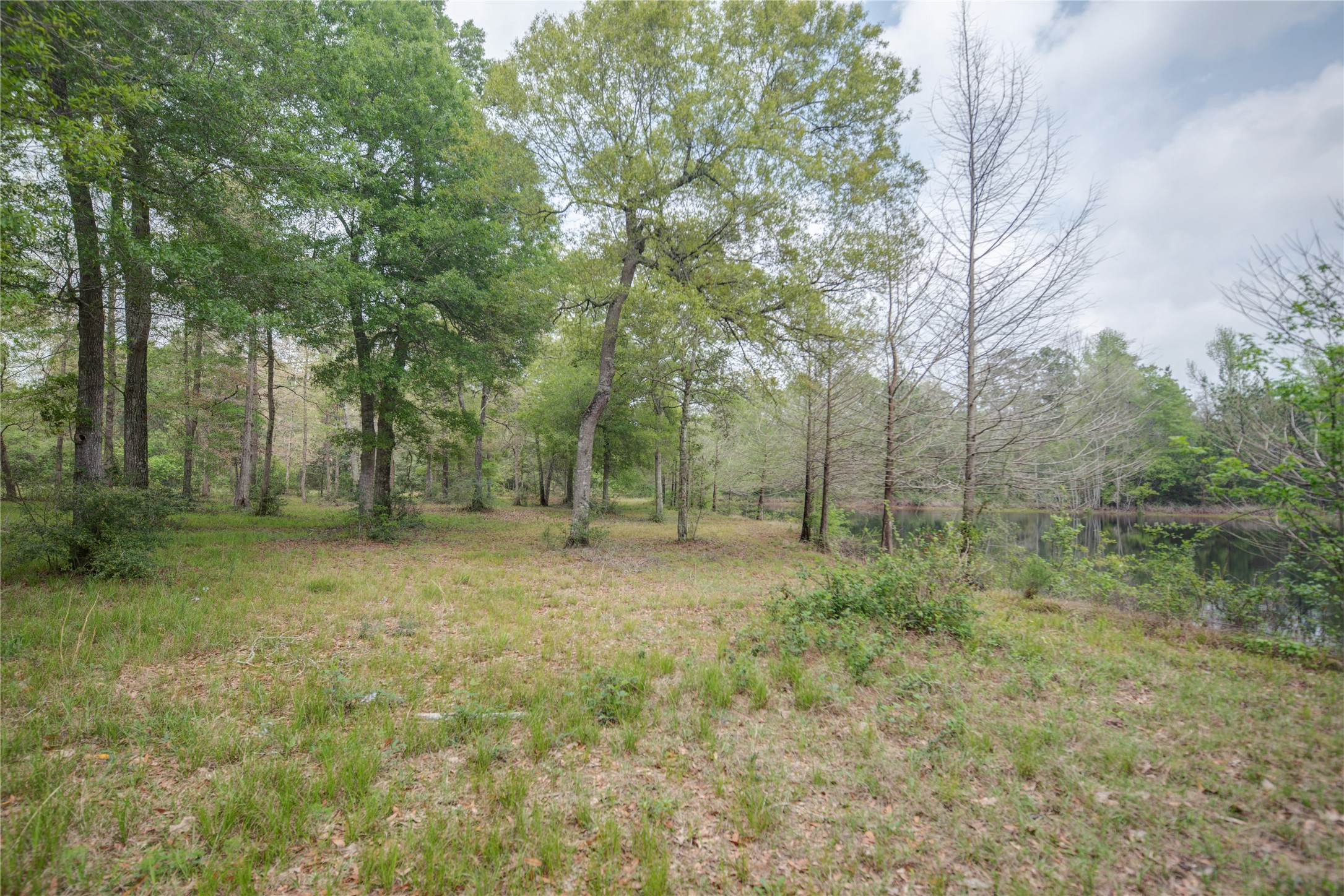 Tbd Tbd Firetower Road Conroe, TX 77306 - Photo 6 of 23 a view of a large yard with lots of green space