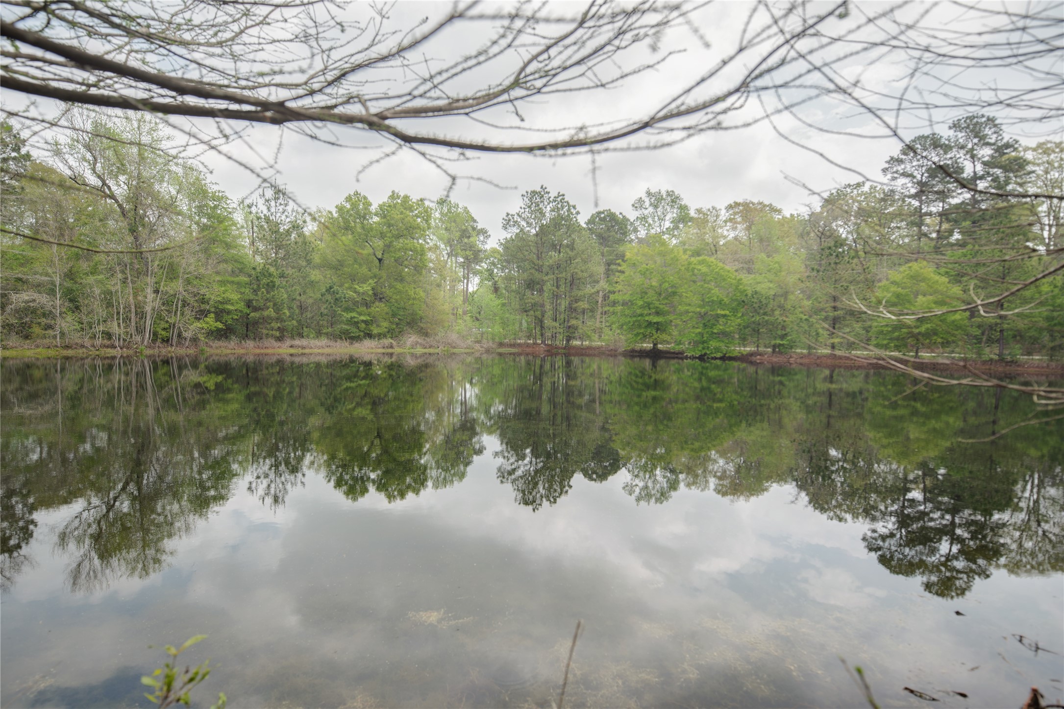 Tbd Tbd Firetower Road Conroe, TX 77306 - Photo 7 of 23 a view of lake