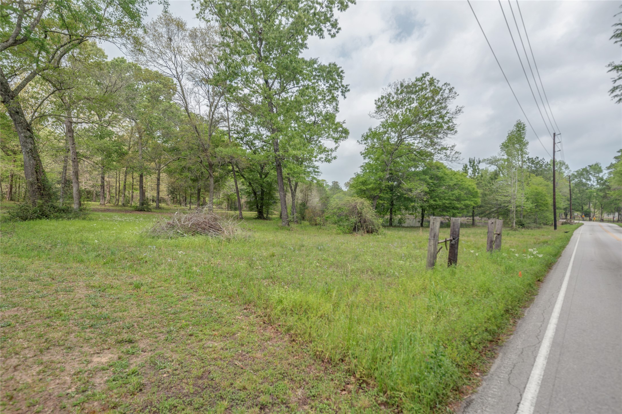 Tbd Tbd Firetower Road Conroe, TX 77306 - Photo 9 of 23 a view of a park with large trees
