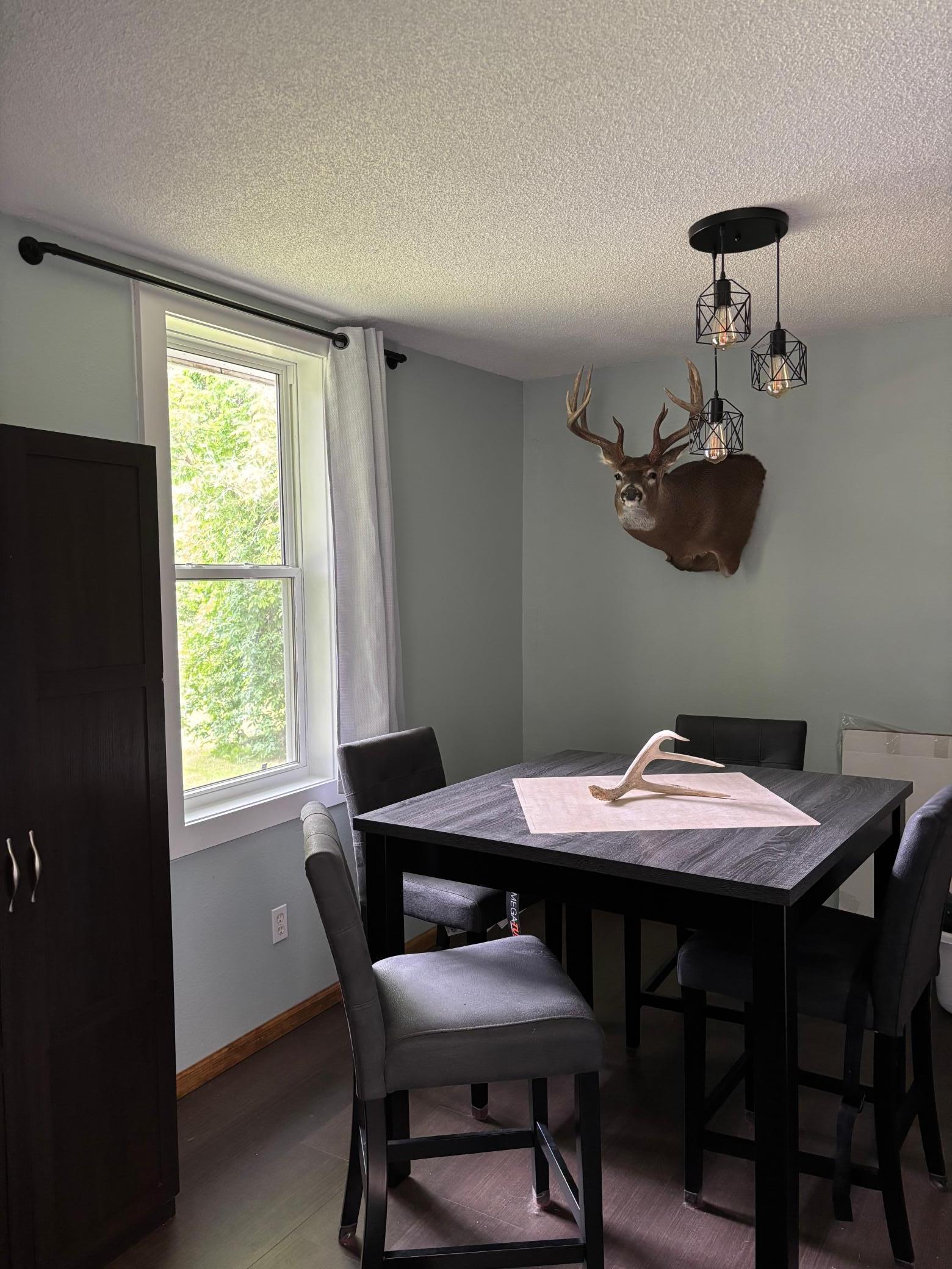 40149 181st Street Wannaska, MN 56761 - Photo 4 of 15