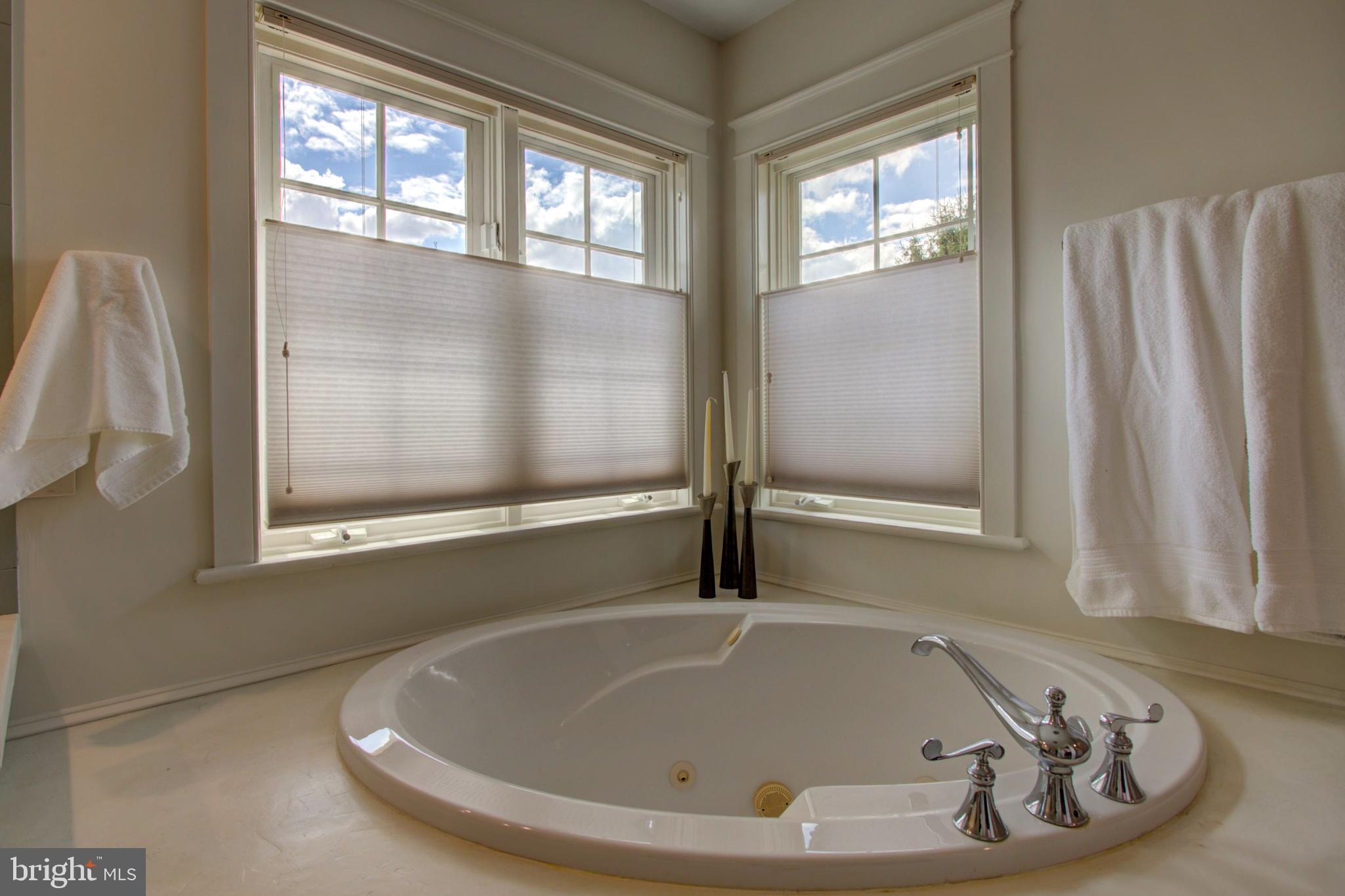 382 Rumford Road Lititz, PA 17543 - Photo 29 of 63 a bath tub sitting next to a window