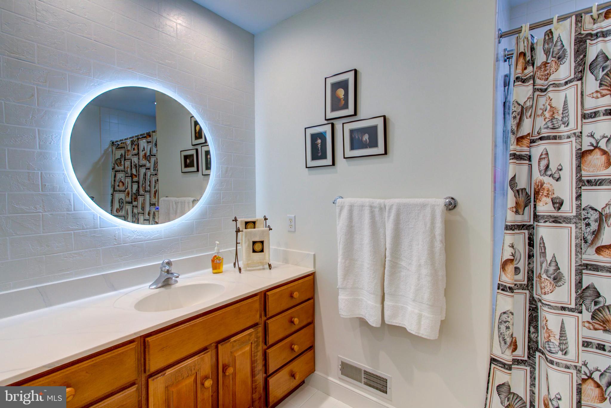 382 Rumford Road Lititz, PA 17543 - Photo 37 of 63 a bathroom with a sink and a mirror