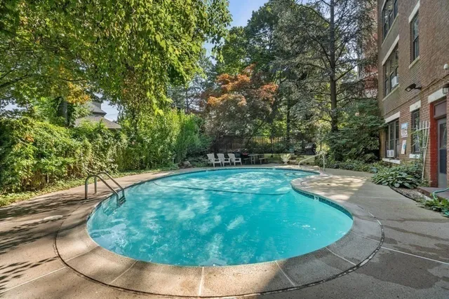 a view of a swimming pool with a yard