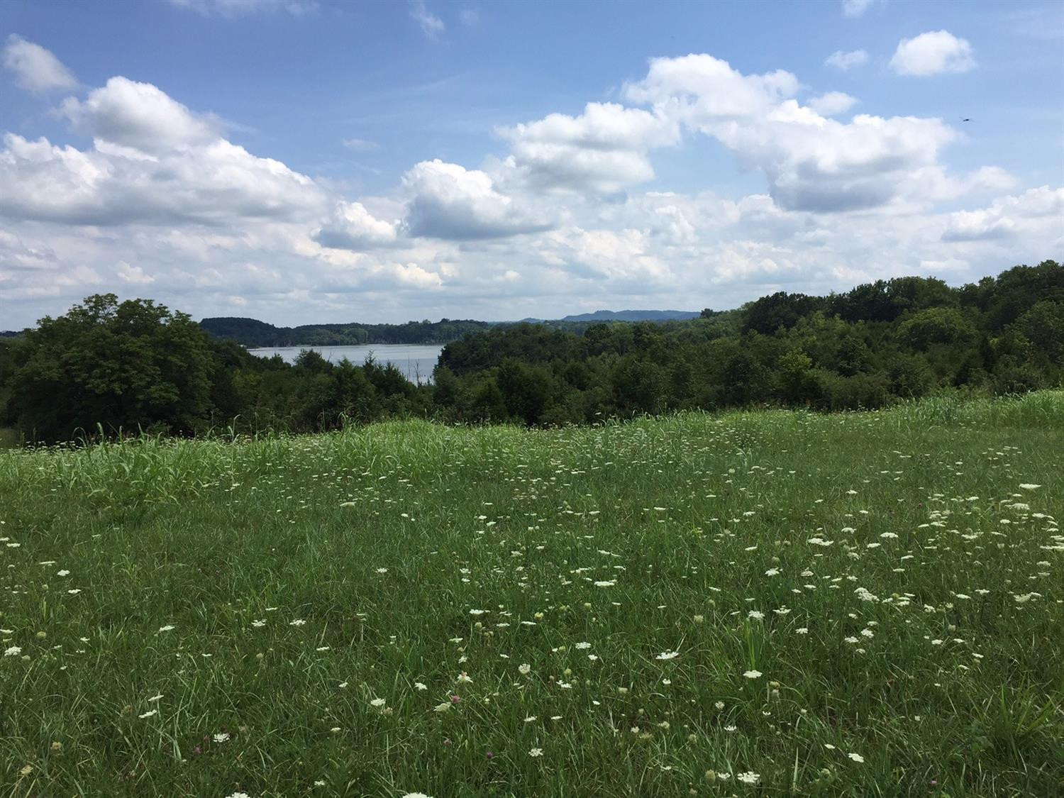 2 Cedar Ridge Road Stanford, KY 40484 - Photo 4 of 18 Photo 4