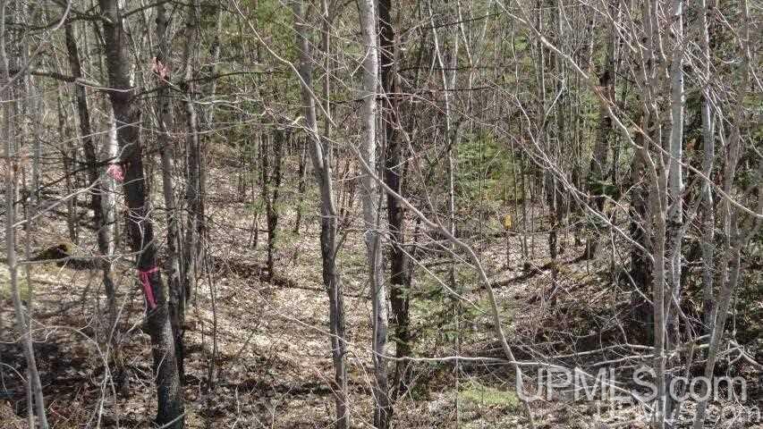 Tbd Off Doe Lake Road Munising, MI 49862 - Photo 8 of 11