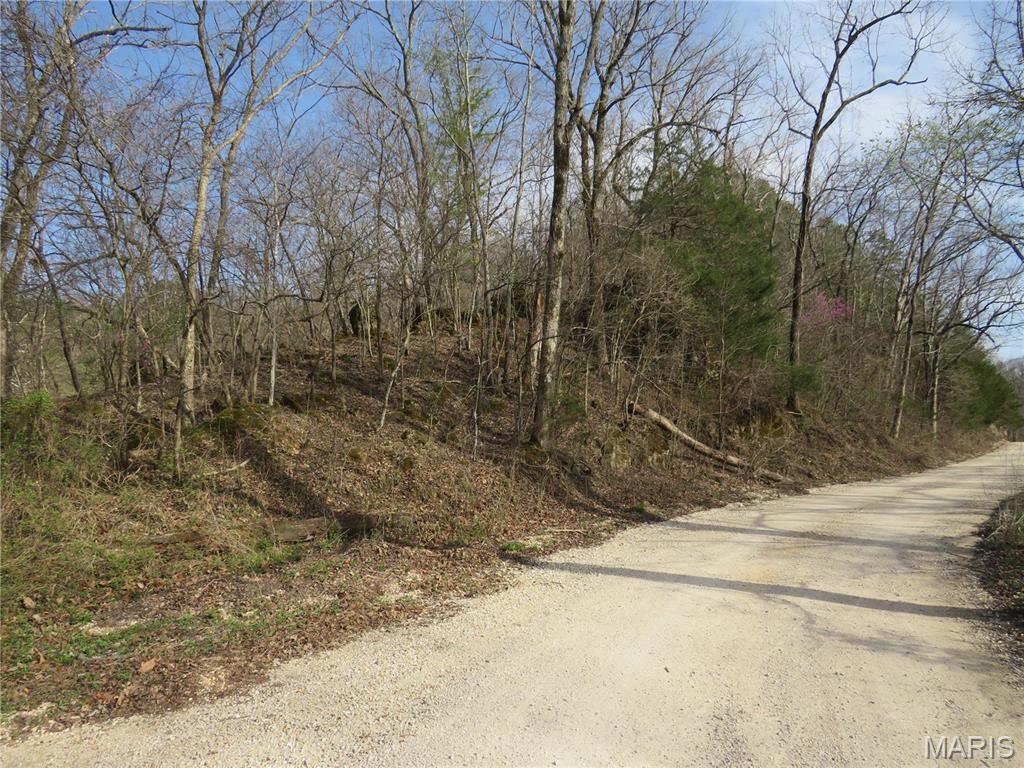 0 County Road 422 Ellington, MO 63638 - Photo 2 of 3