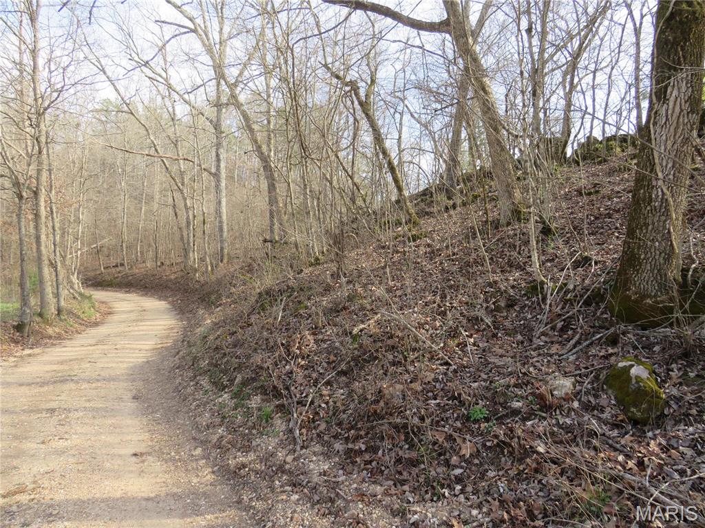 0 County Road 422 Ellington, MO 63638 - Photo 3 of 3