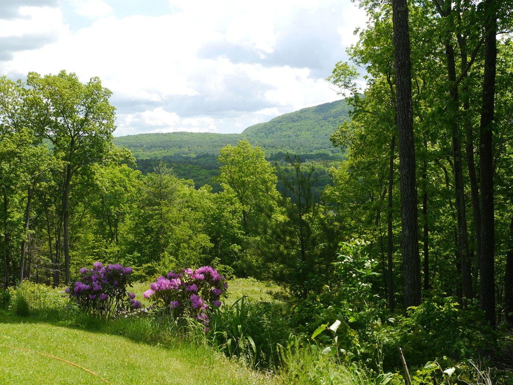 245 River Road Deerfield, MA 01373 - Photo 5 of 24 Gallery Image 5