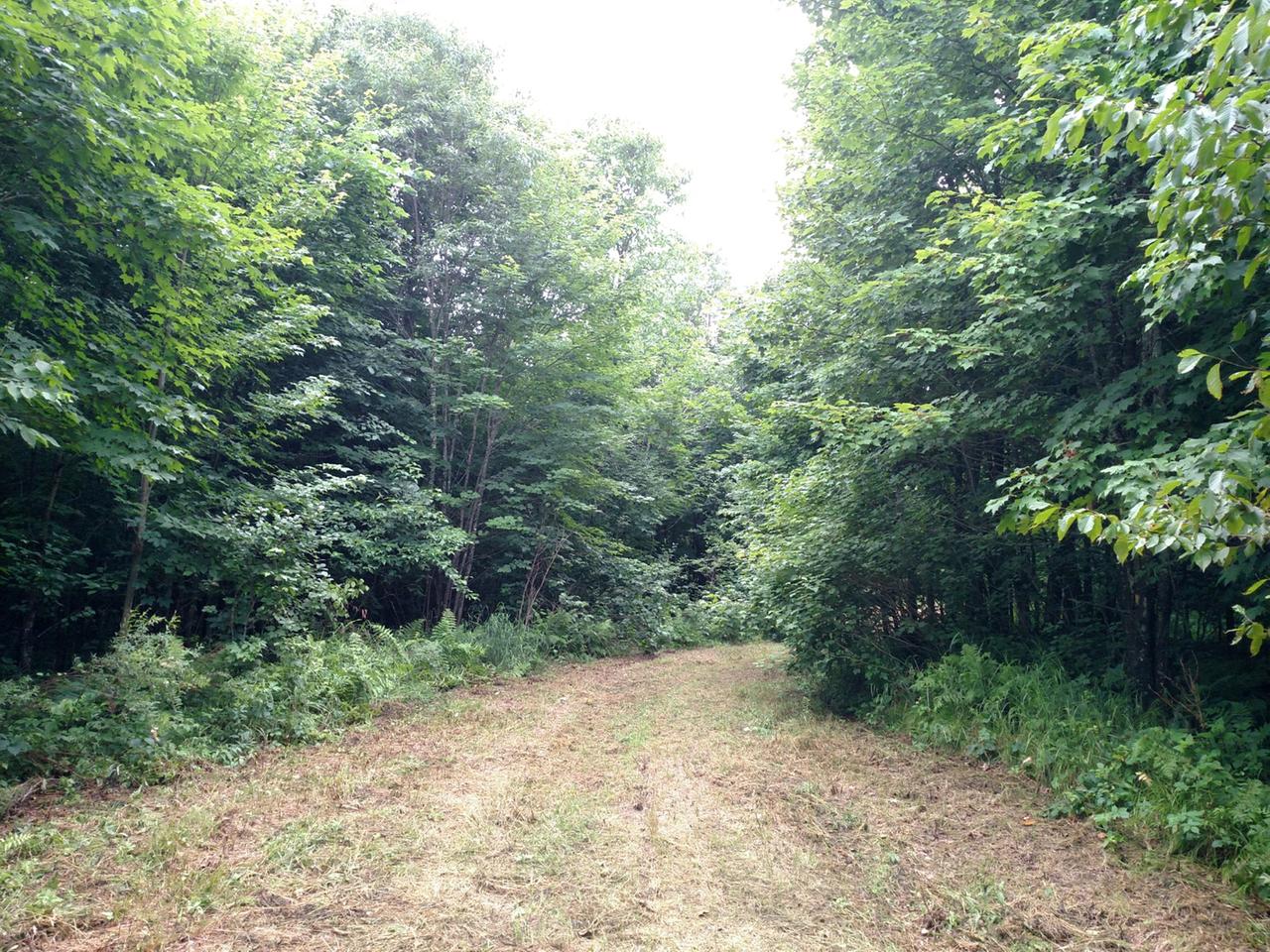 N15891 Eagle Road Butternut, WI 54514 - Photo 33 of 76 Gallery Image 33