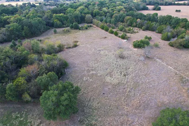 an aerial view of greenery space