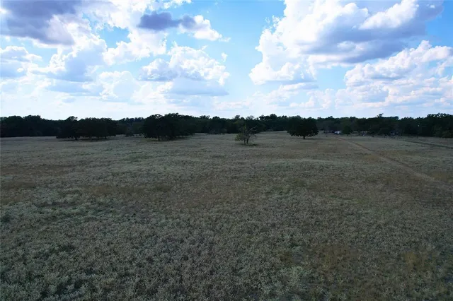 a view of a field with trees in background