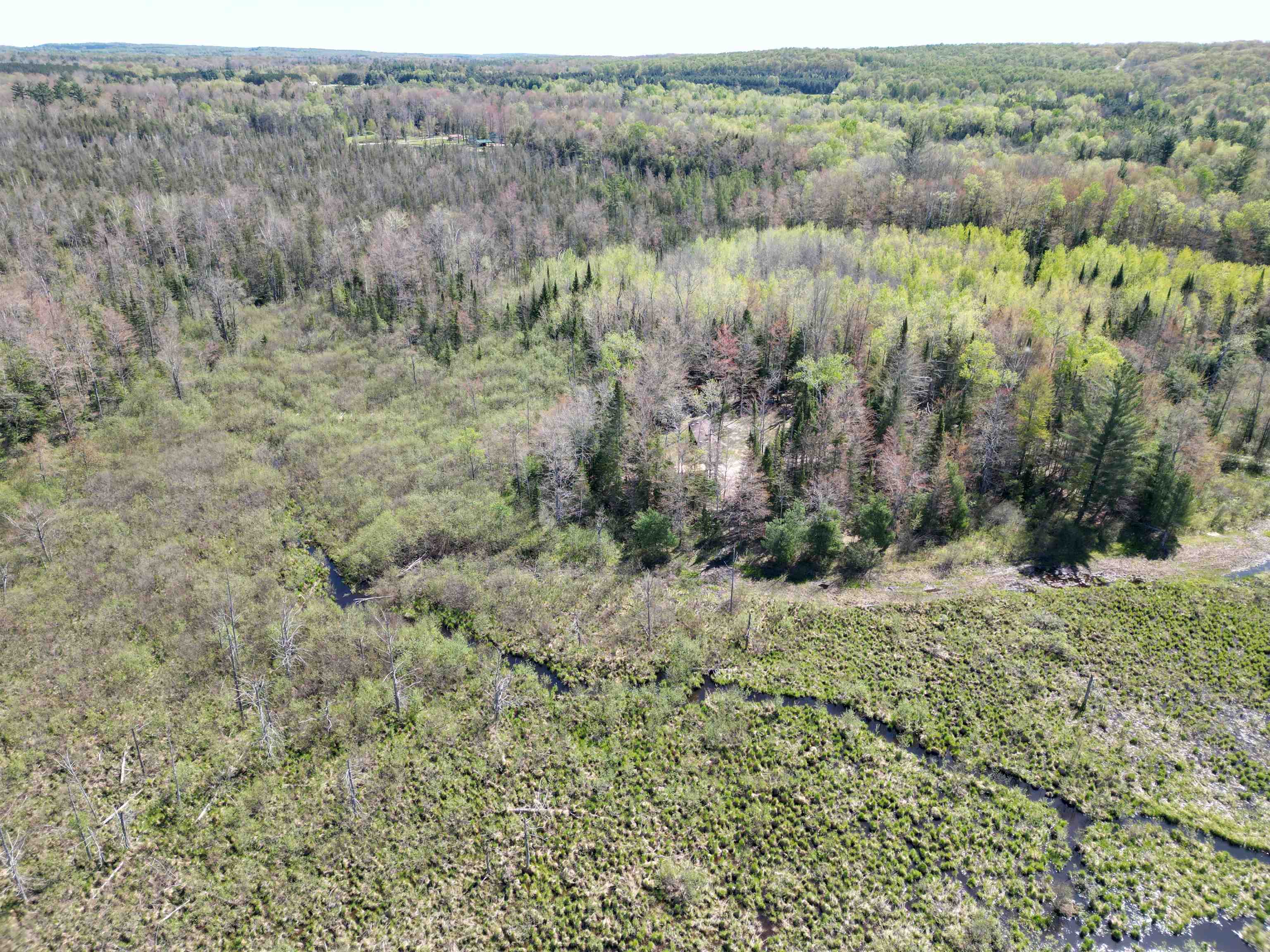 0 Lund Road Southwest Fife Lake, MI 49633 - Photo 39 of 39