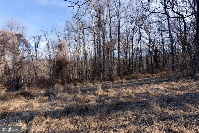 $55,000 | Tbd Overlook Mountain Road, Elkton, VA 22827