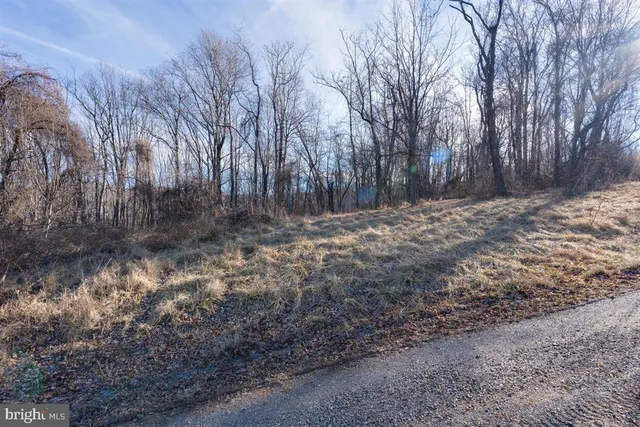 $55,000 | Tbd Overlook Mountain Road, Elkton, VA 22827
