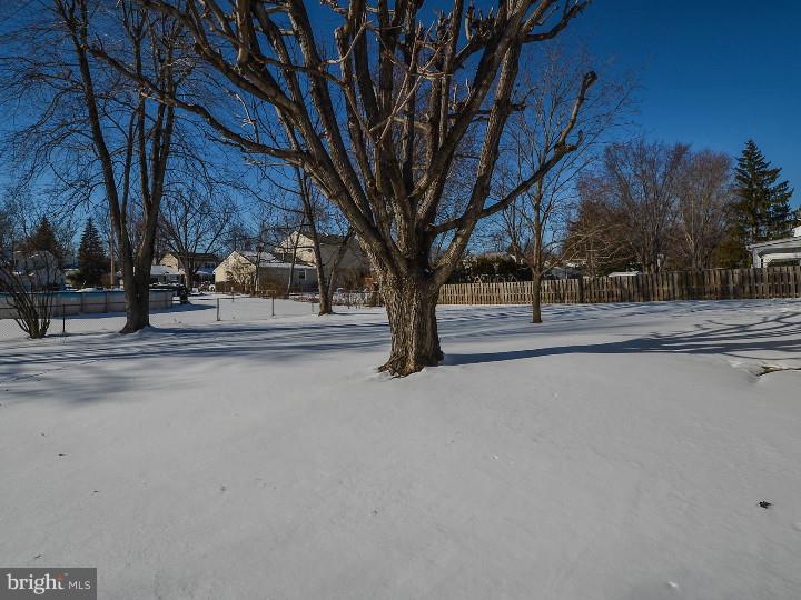 92 Iris Road Warminster, PA 18974 - Photo 19 of 19 Back Yard