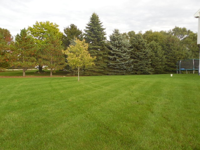 1551 West Pickard Road Mount Pleasant, MI 48858 - Photo 49 of 53 1807028-48.JPG