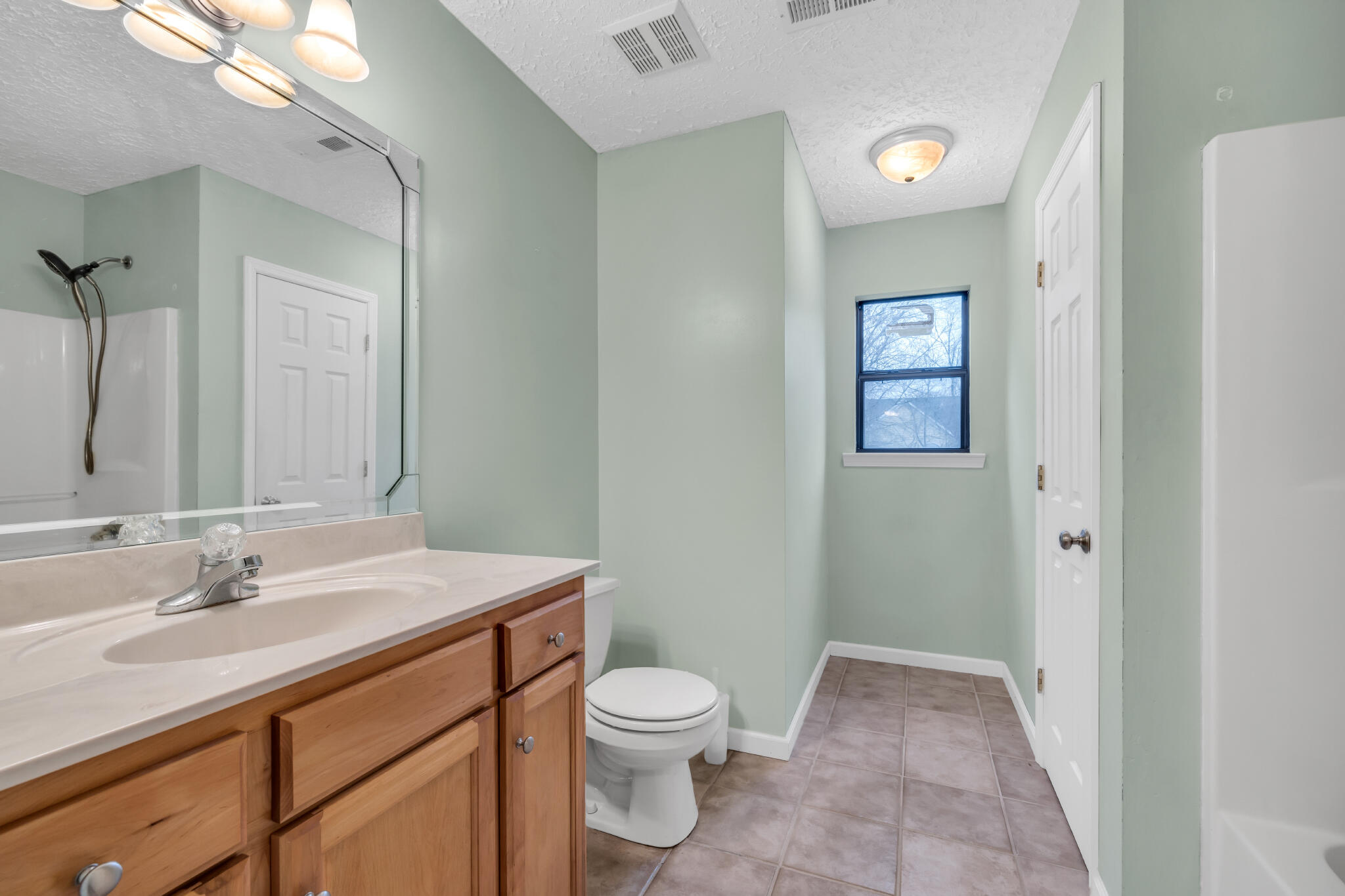 8717 Winterberry Road Chattanooga, TN 37421 - Photo 13 of 30 RC Bathroom