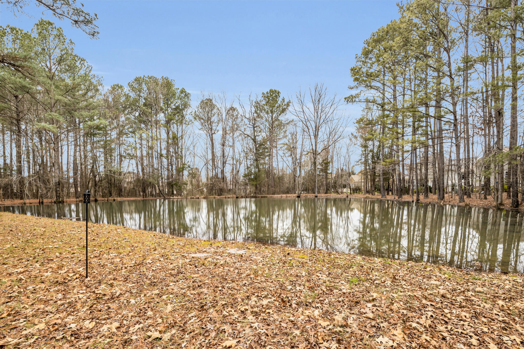 8717 Winterberry Road Chattanooga, TN 37421 - Photo 2 of 30 RC pond 2