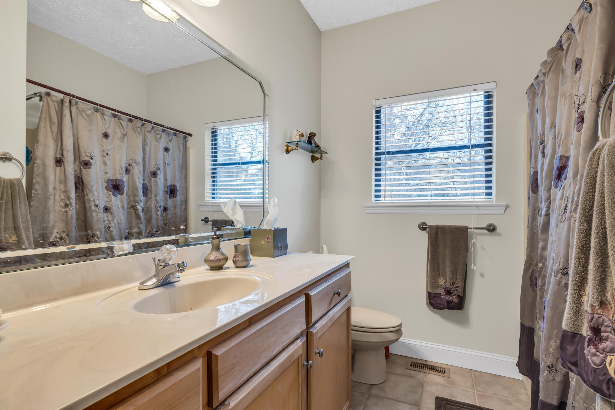 8717 Winterberry Road Chattanooga, TN 37421 - Photo 22 of 30 RC Bathroom left downstairs