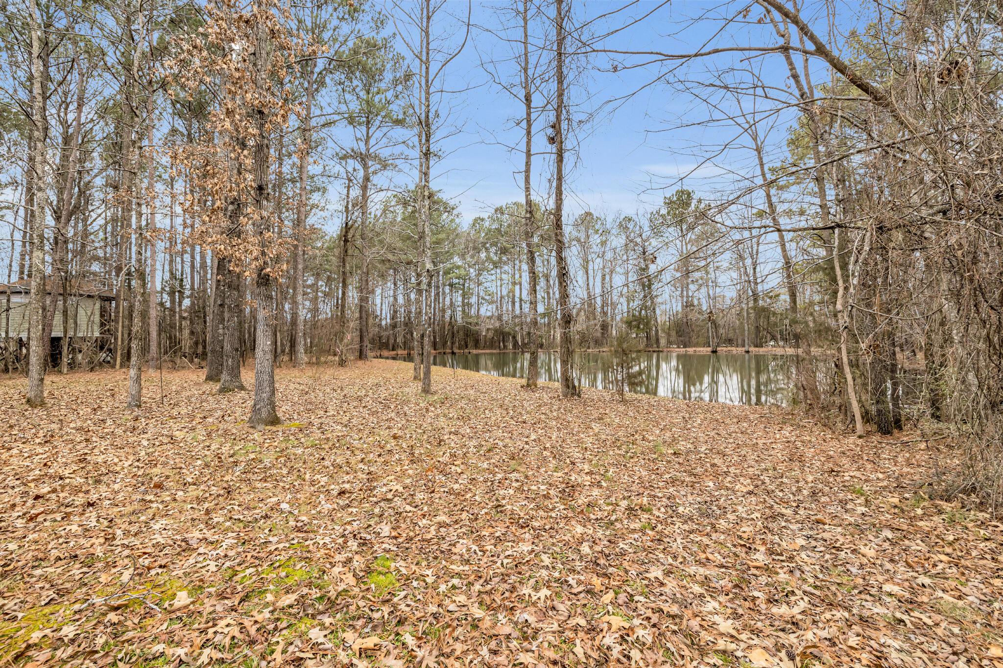 8717 Winterberry Road Chattanooga, TN 37421 - Photo 24 of 30 RC pond 1
