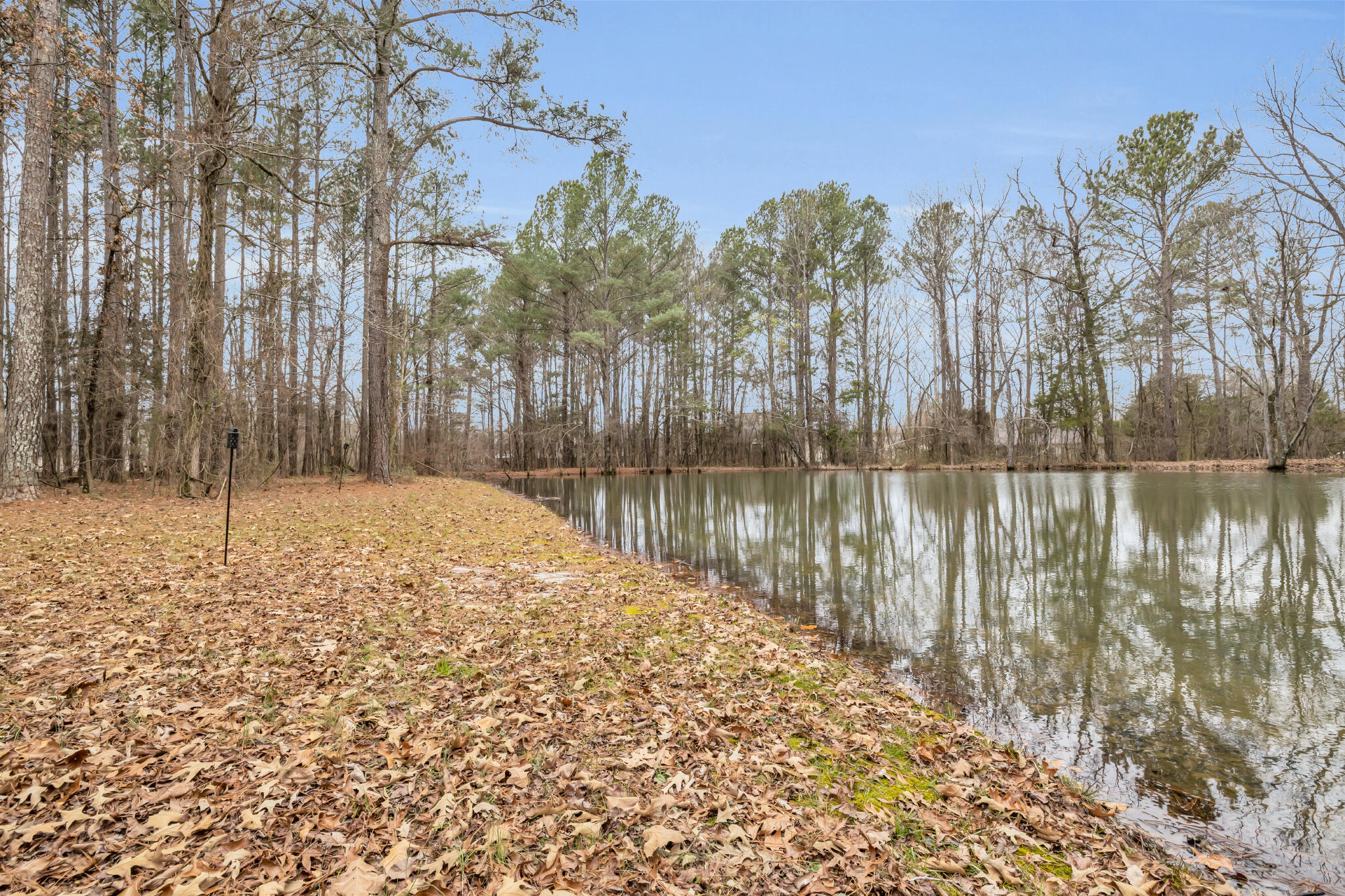 8717 Winterberry Road Chattanooga, TN 37421 - Photo 25 of 30 RC Pond 3