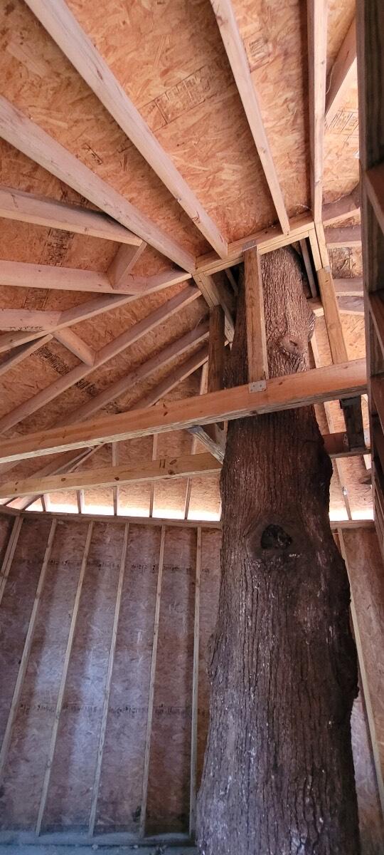 8717 Winterberry Road Chattanooga, TN 37421 - Photo 28 of 30 RC Treehouse 2