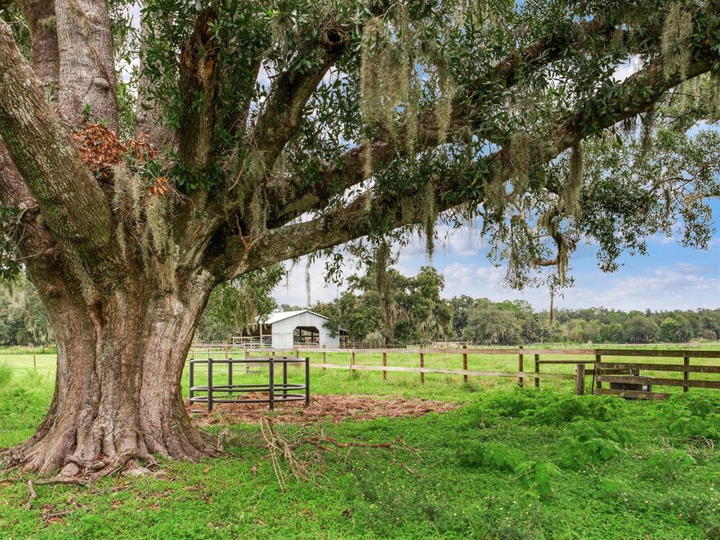 4402 McGee Road Plant City, FL 33565 - Photo 22 of 37 Gallery Image 22