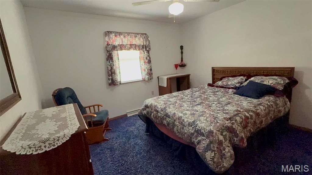 337 East 1st Street Ramsey, IL 62080 - Photo 11 of 17