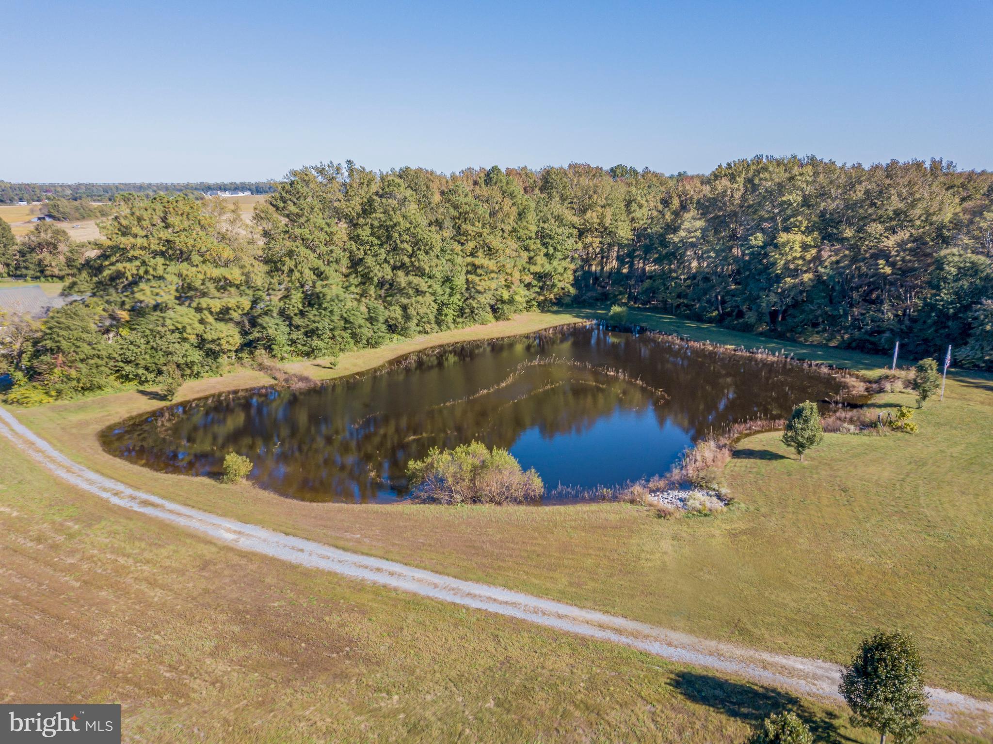 2690 Williamsville Road Houston, DE 19954 - Photo 13 of 89 Gallery Image 13