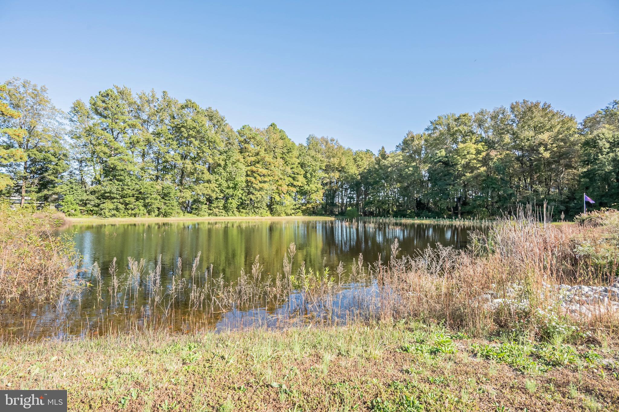 2690 Williamsville Road Houston, DE 19954 - Photo 14 of 89 Gallery Image 14
