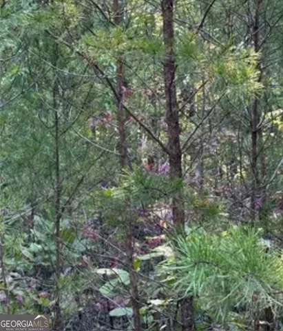 $13,500 | 18 South Skyline Drive, Braswell, GA 30153