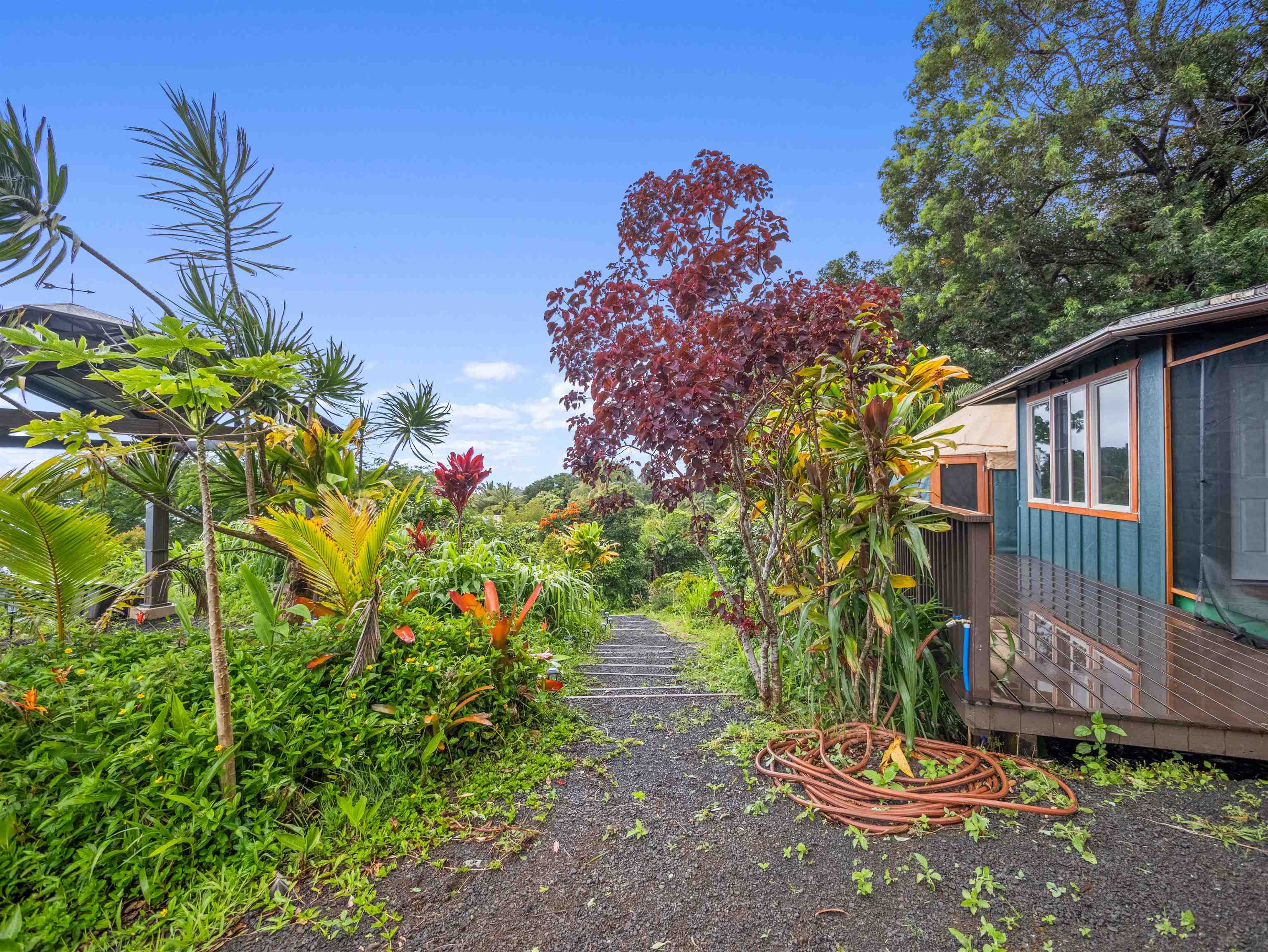 44 Hanauana Road Haiku, HI 96708 - Photo 22 of 45 a backyard of a house with lots of green space