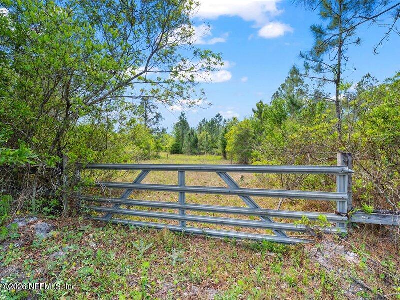 5371 Church Road St. Augustine, FL 32092 - Photo 5 of 33 a view of a yard with wooden fence