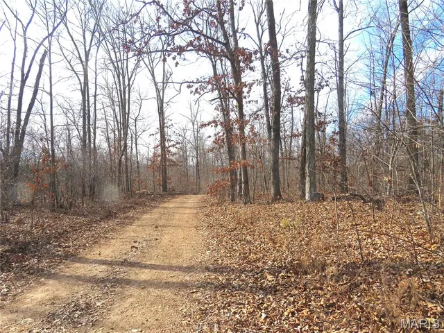 $1,040,000 | 0 County Road 422, Ellington, MO 63638