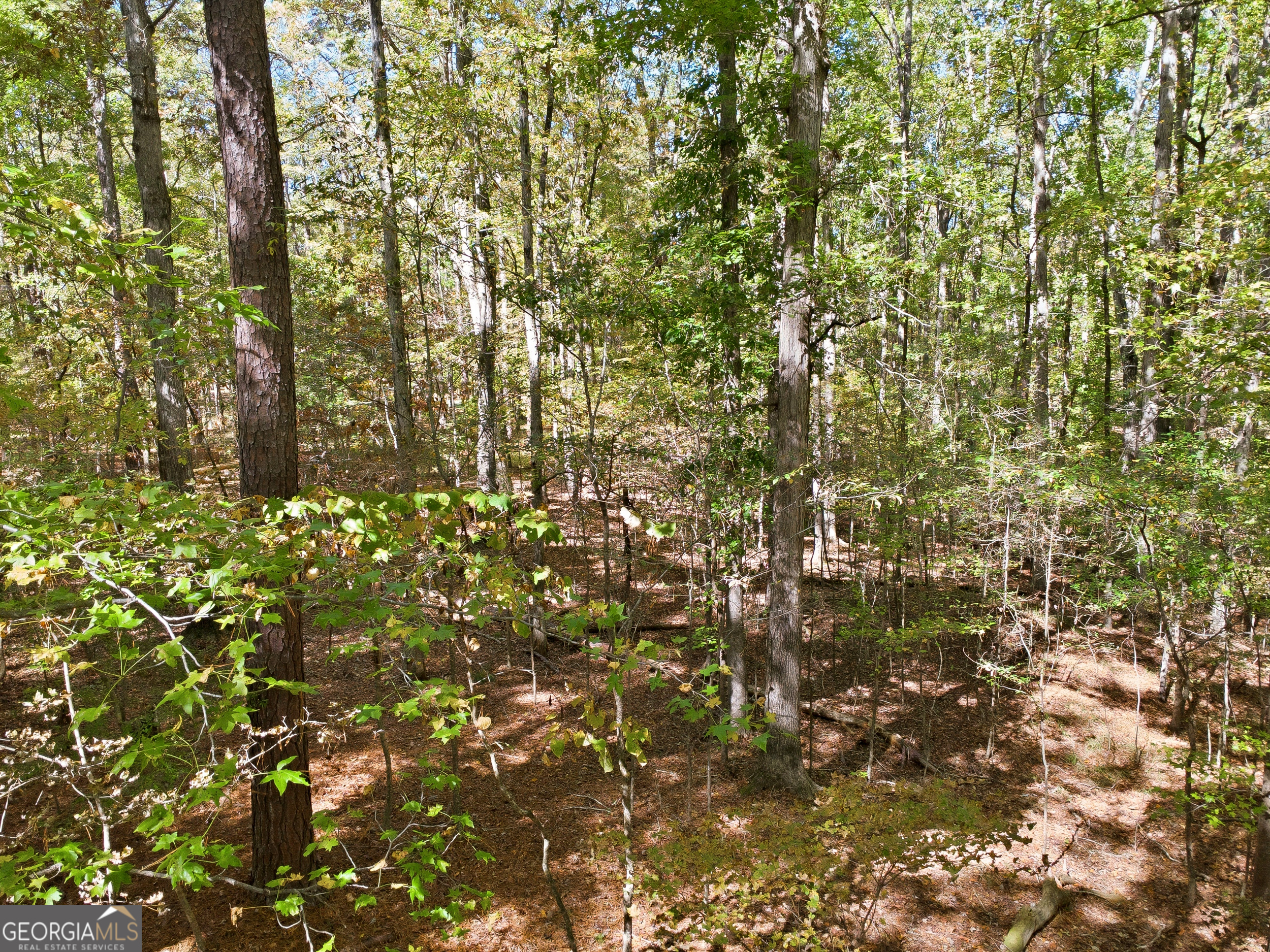0 Busbin Road Fayetteville, GA 30215 - Photo 5 of 8 a view of a tree
