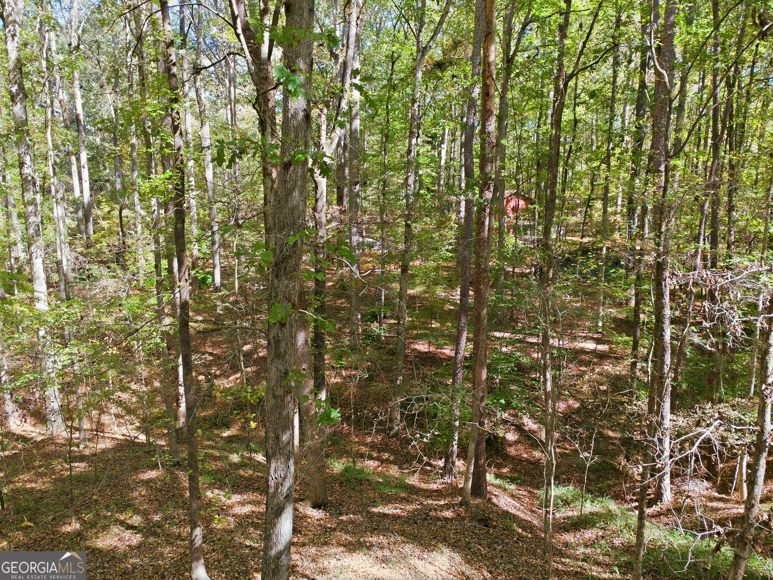 0 Busbin Road Fayetteville, GA 30215 - Photo 6 of 8 a view of a city