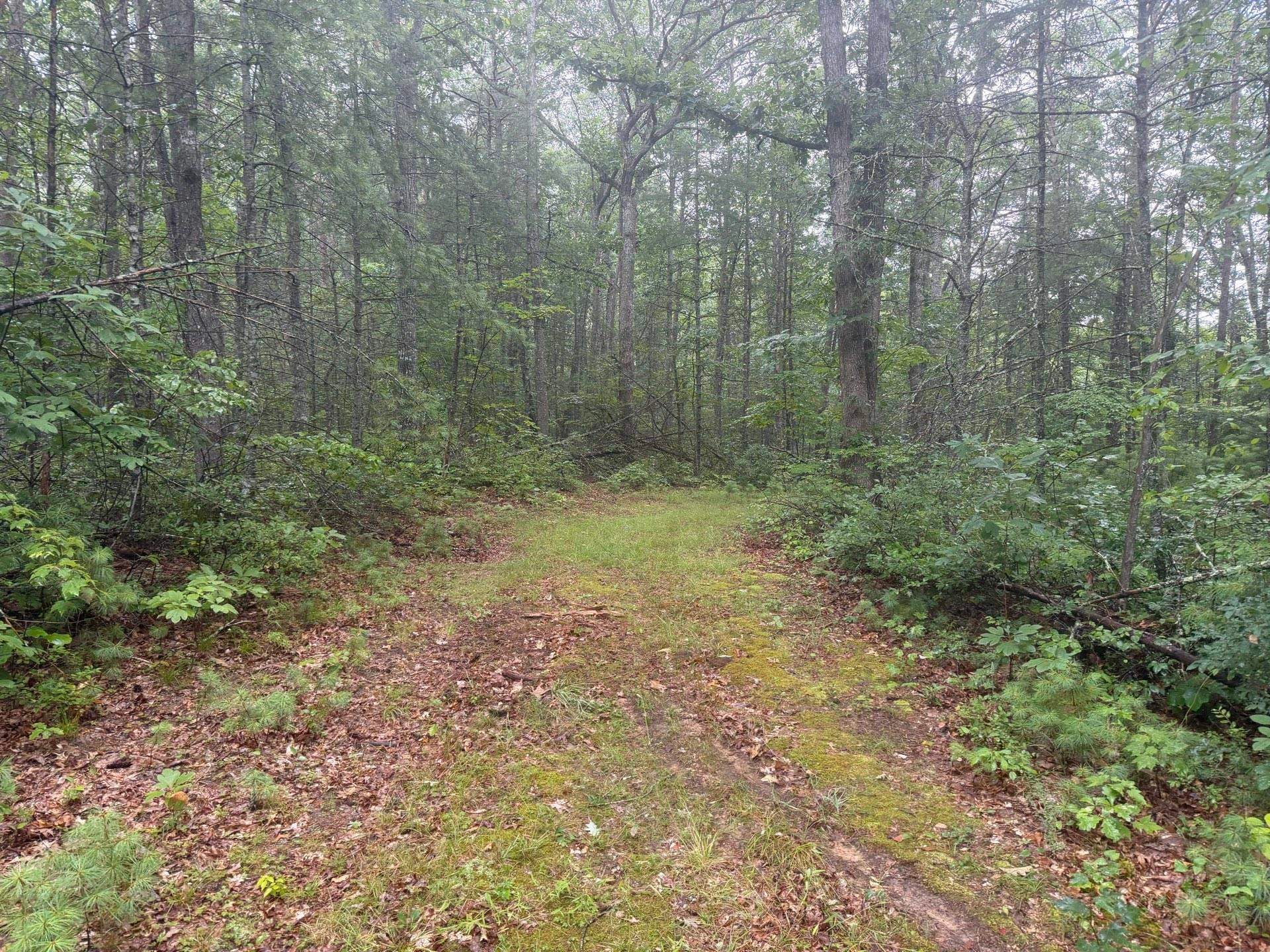 Tbd Short Ridge Drive Bland, VA 24315 - Photo 67 of 125 Gallery Image 67