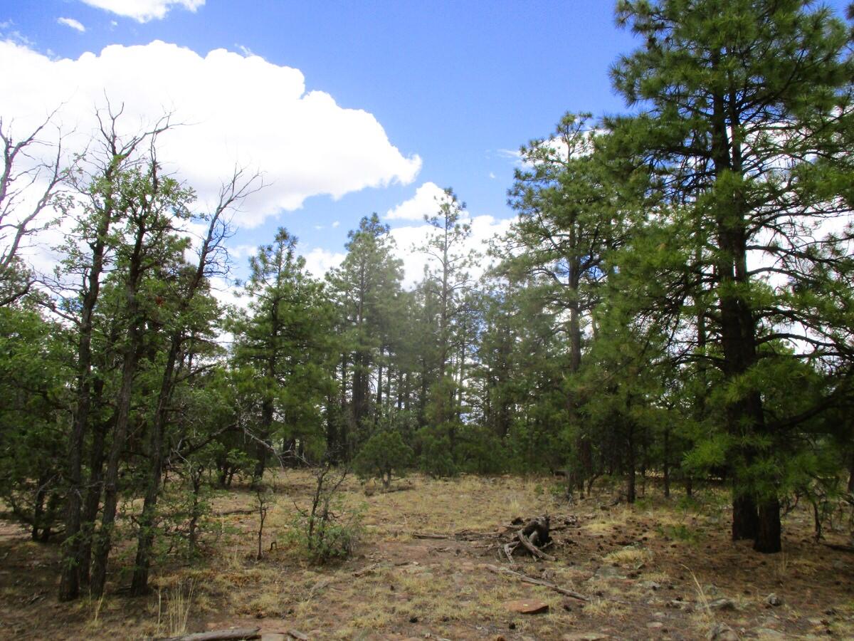 157 Forest Road Ramah, NM 87321 - Photo 30 of 71 Gallery Image 30