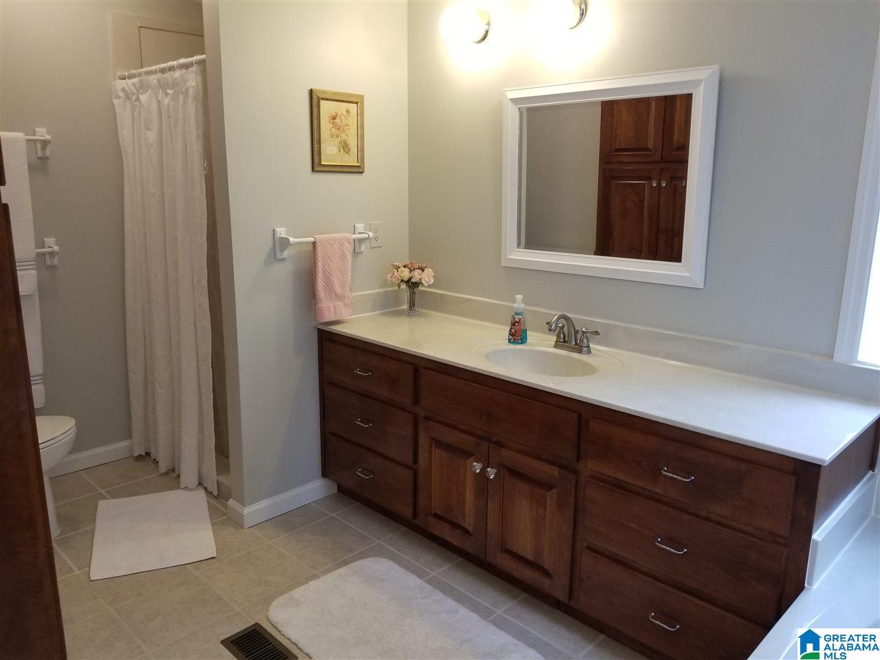220 Steele Gap Road Steele, AL 35987 - Photo 11 of 22