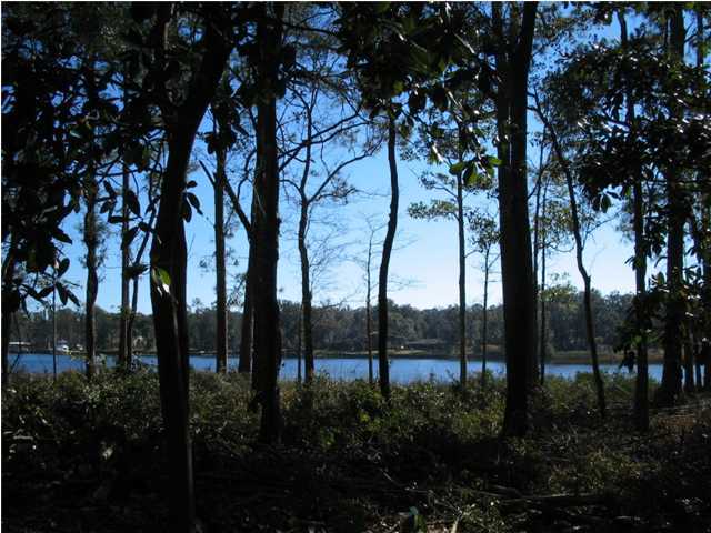 Lot 1 George Ellis Point Road Vernon, FL 32462 - Photo 2 of 5 Additional Photo