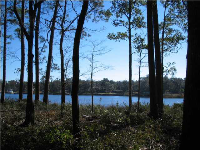 Lot 1 George Ellis Point Road Vernon, FL 32462 - Photo 3 of 5 Additional Photo