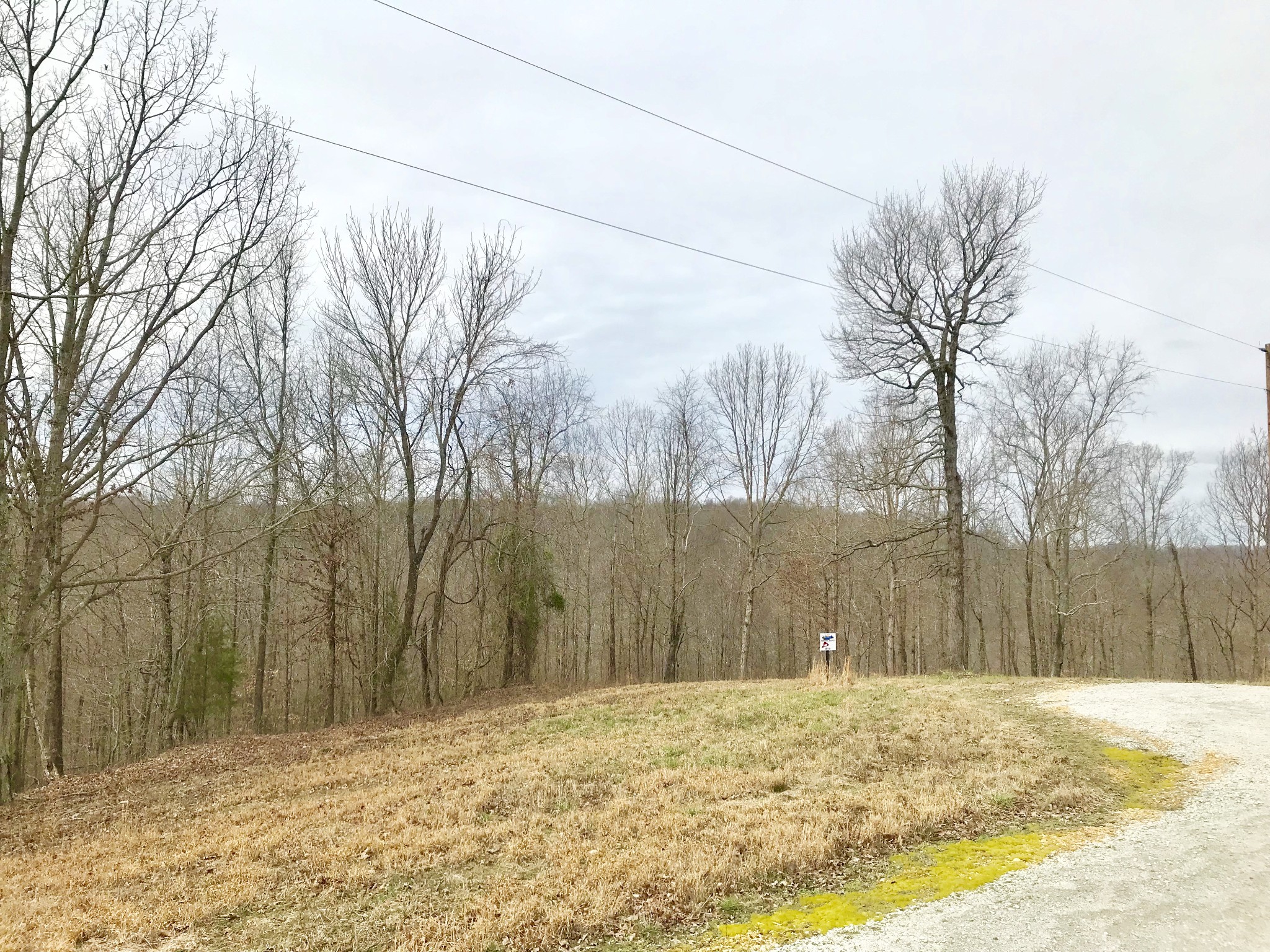 0 Western Road Waverly, TN 37185 - Photo 2 of 6