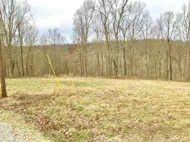 $15,900 | 0 Western Road, Waverly, TN 37185