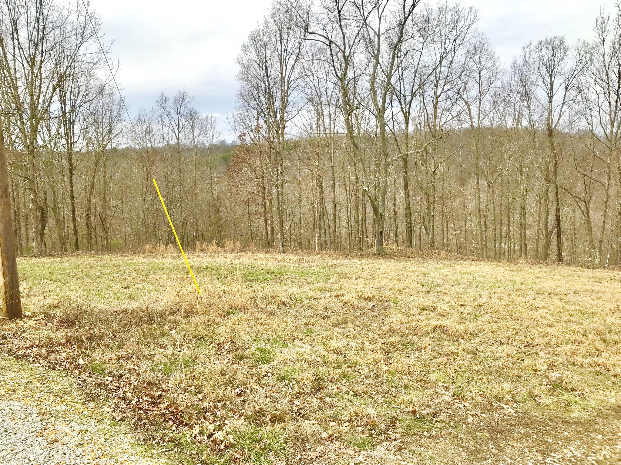 0 Western Road Waverly, TN 37185 - Photo 4 of 6