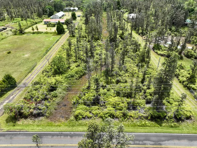 a view of a garden with an outdoor space