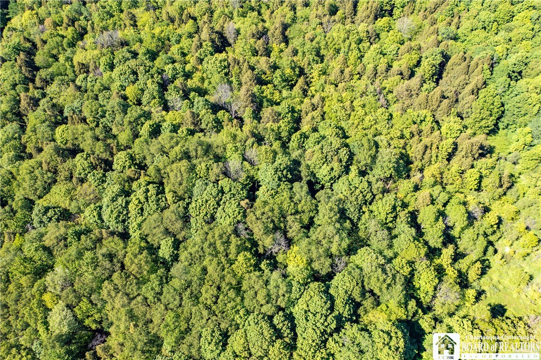 3946 Camp Road Sherman, NY 14781 - Photo 9 of 48