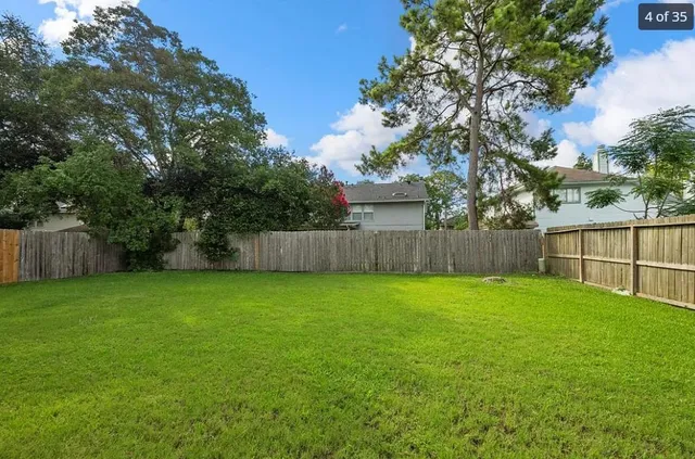 a view of a backyard with a tree