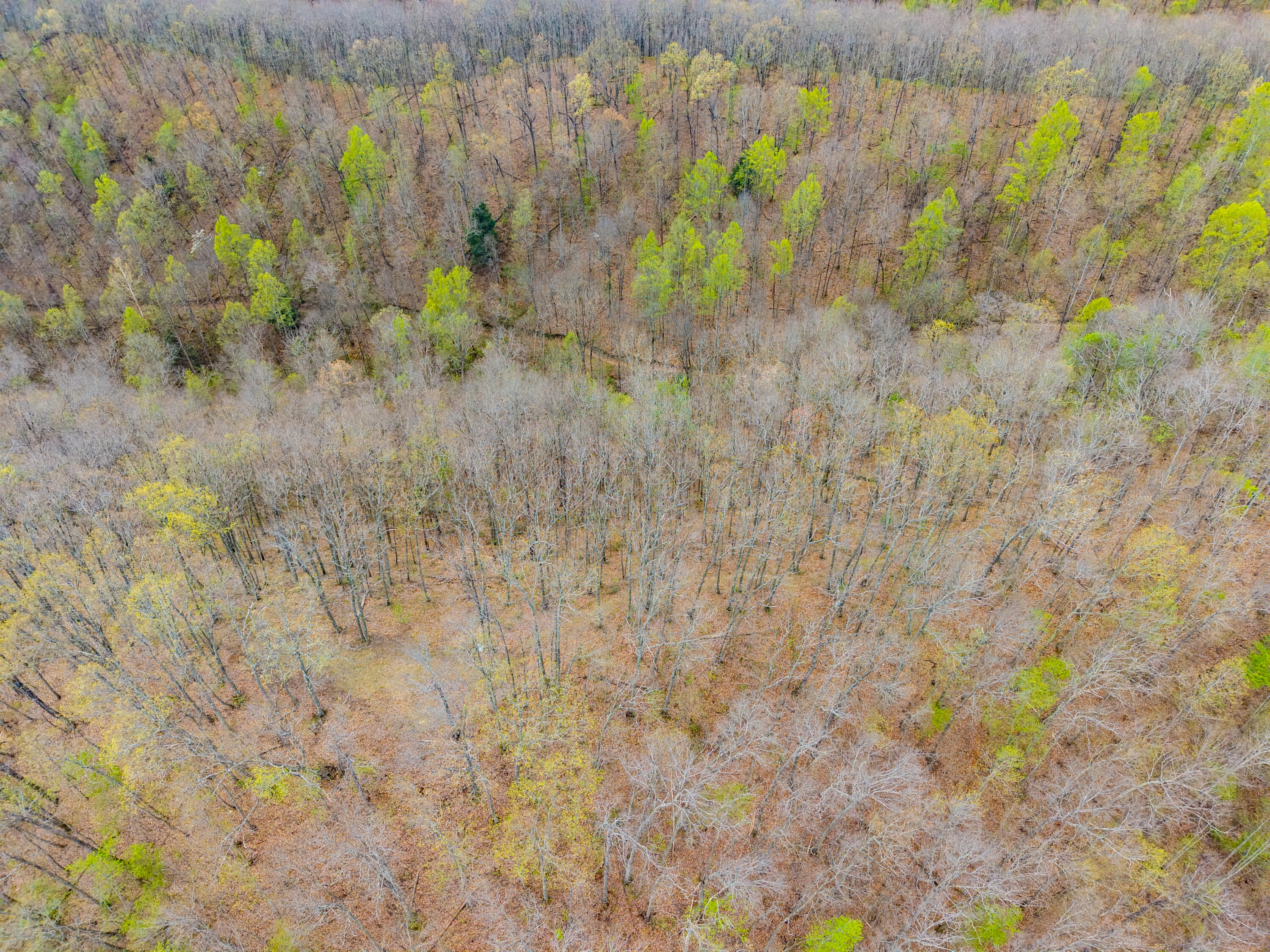 10200 Cranston Road Morehead, KY 40351 - Photo 54 of 62 DJI_20260414115010_0054_D