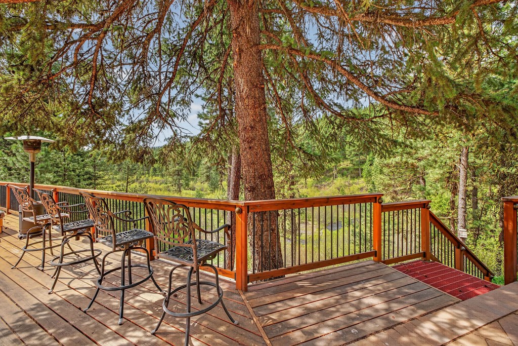 3293 Big Creek Road New Meadows, ID 83654 - Photo 95 of 122